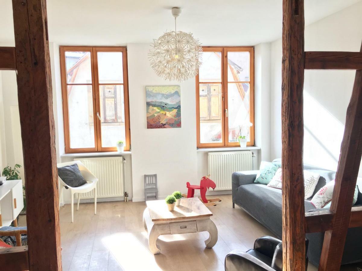 Gite Atelier De Hansi - Colmar Centre Kültér fotó