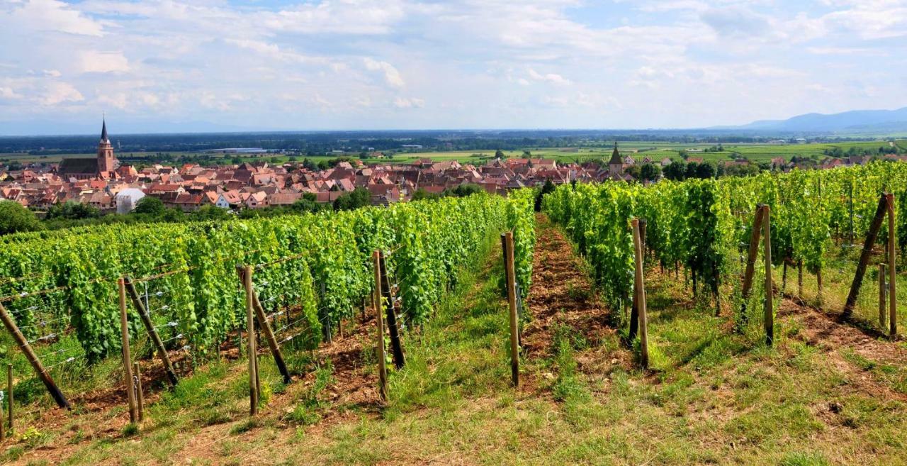 Gite Atelier De Hansi - Colmar Centre Kültér fotó